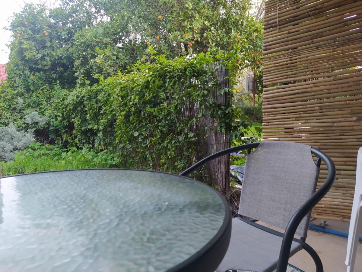 אצלנו בקיבוץ Apartamento Amir Exterior foto