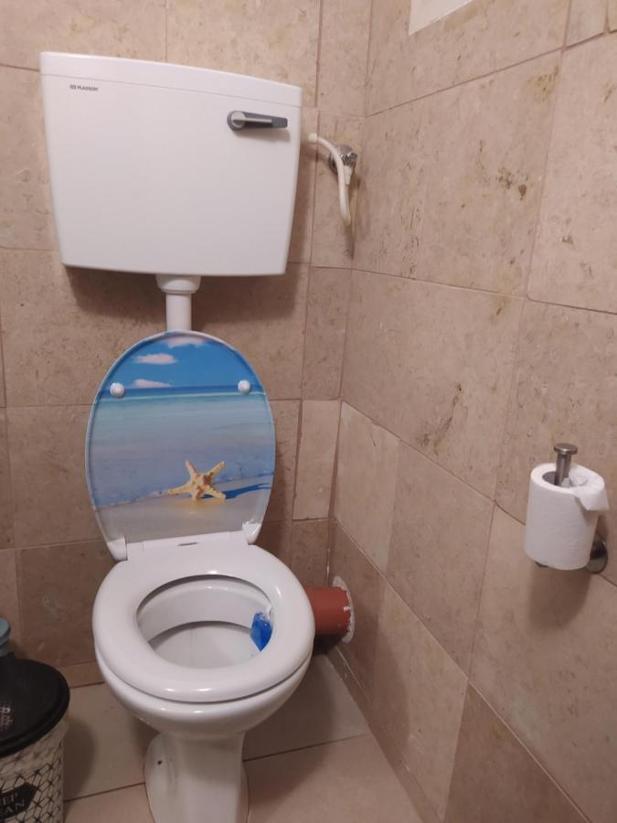 אצלנו בקיבוץ Apartamento Amir Exterior foto